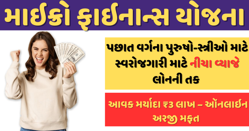 Micro Finance Scheme